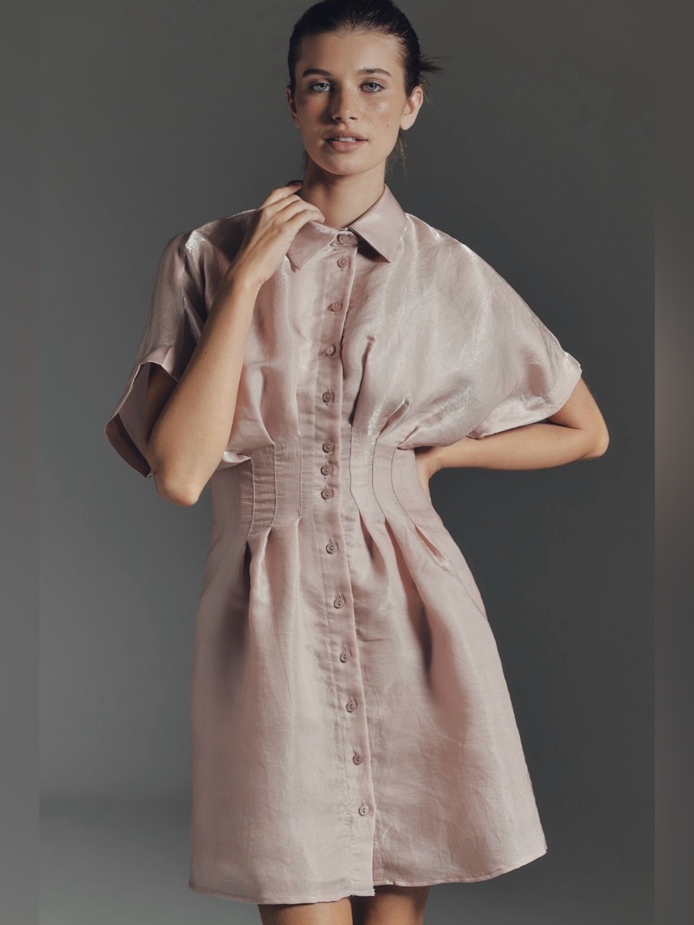 Anthropologie‎ Tobie Organza Mini Shirt Dress by Exquise NWT size PL